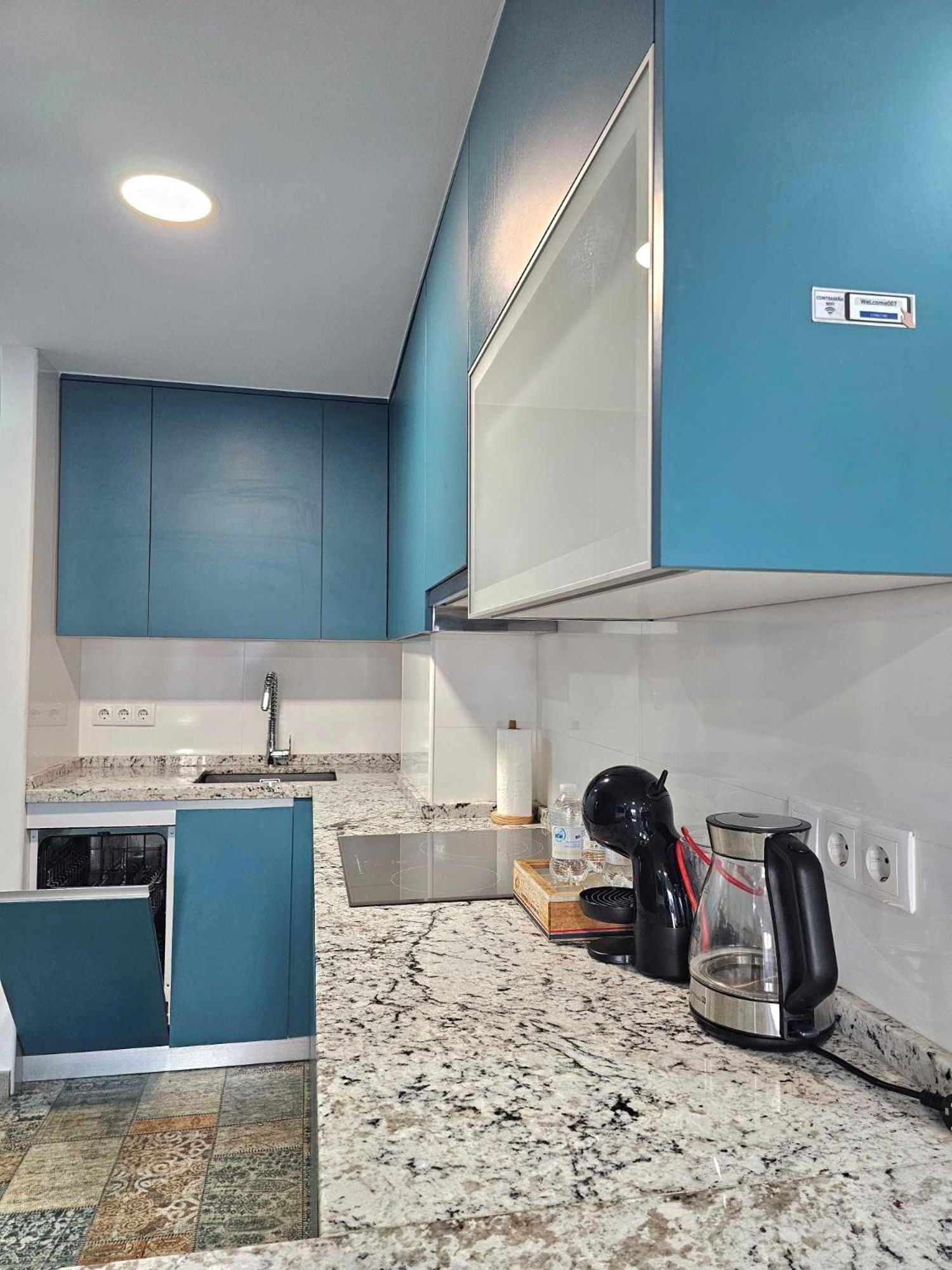 Apartament Suncastle -with Sunny Rooftop Terrace And Barbecue Alicante